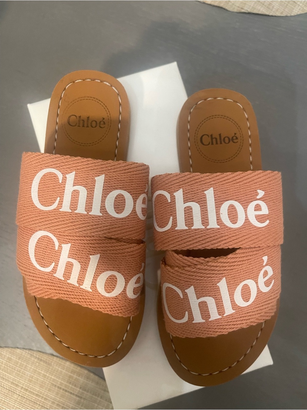 Chloé Canvas Logo Sandals